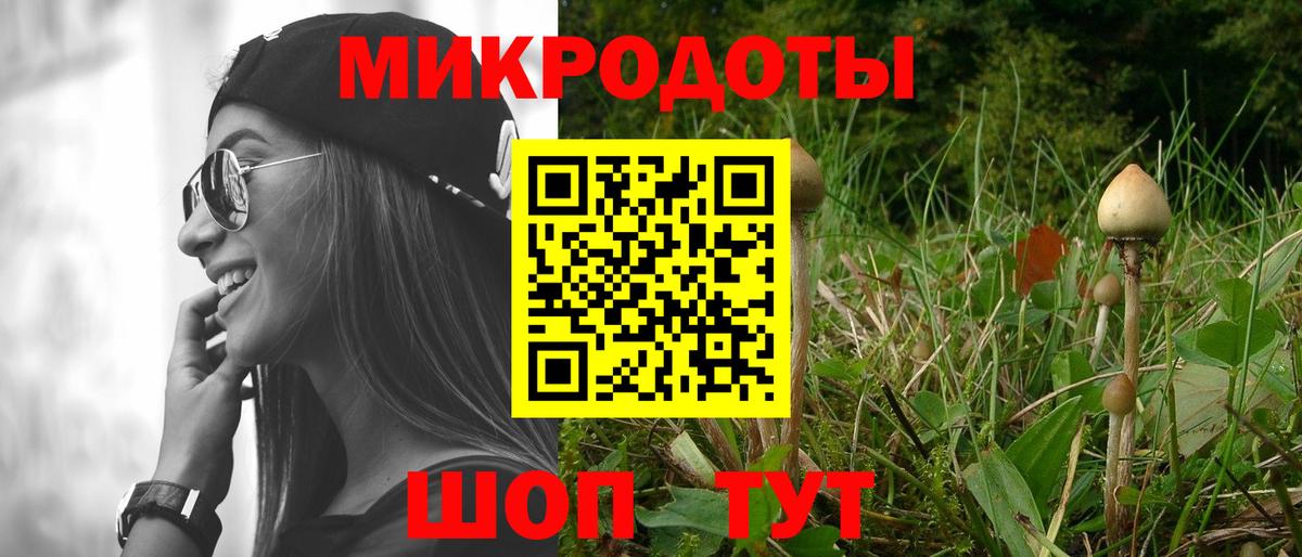 Галлюциногенные грибы мицелий Бердск