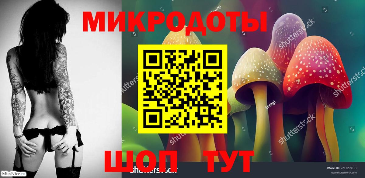 Бердск  Псилоцибиновые грибы мухоморы  Галлюциногенные грибы мухоморы  Вход с VPN 